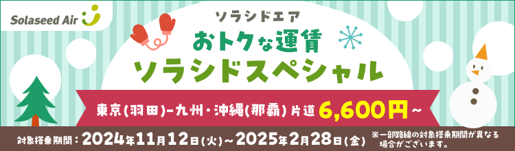 ソラシドエア　おトクな運賃　ソラシドスペシャル
東京（羽田）-九州・沖縄（那覇）片道6,600円～