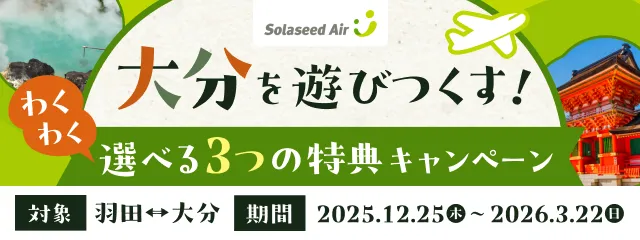 ソラシドエア 大分を遊びつくす！