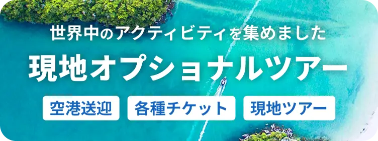 現地オプショナルツアー 世界中のアクティビティを集めました