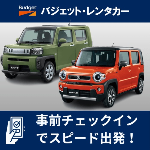 【【事前チェックインでスピード出発】特別プラン(九州)【JSKN】