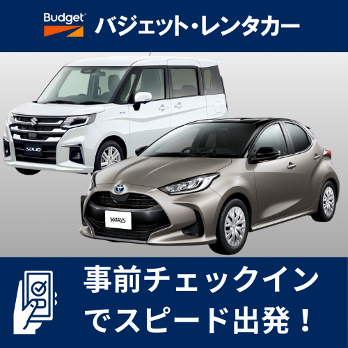 【【事前チェックインでスピード出発】特別プラン(九州)【JS】