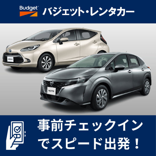 【【事前チェックインでスピード出発】特別プラン（九州）【EA】