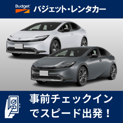 【【事前チェックインでスピード出発】特別プラン(九州)【EC】